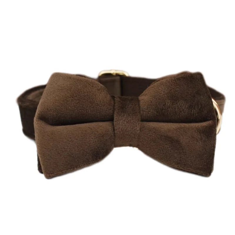 Chocolate Velvet Collar & Leash
