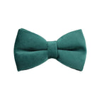 Green Velvet Collar & Leash