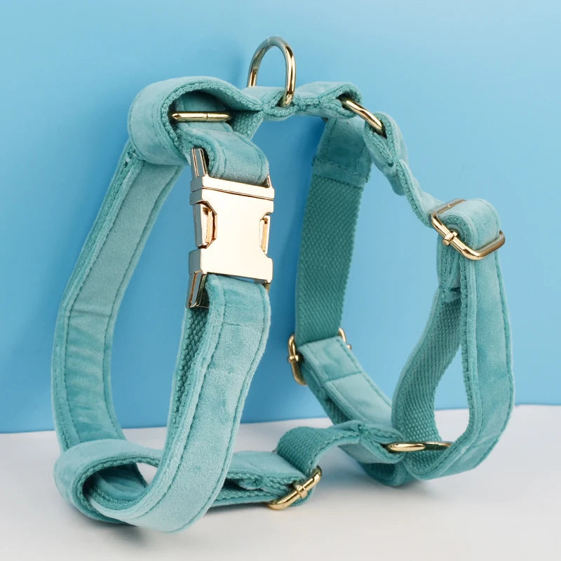 Turquoise Stone Velvet Harness