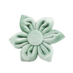 Mint Green Velvet Collar & Leash