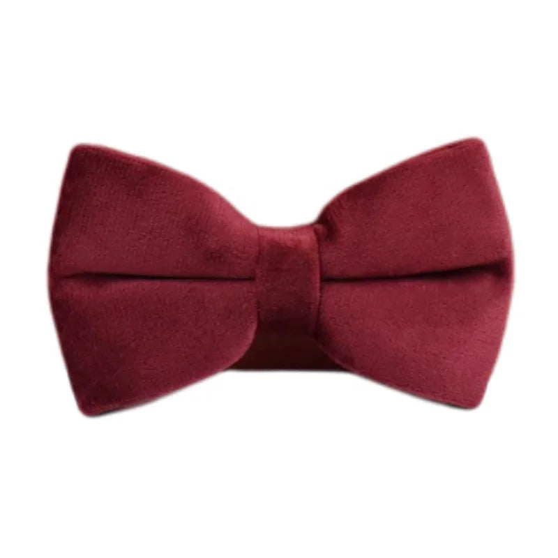 Red Wine Velvet Collar & Leash Set