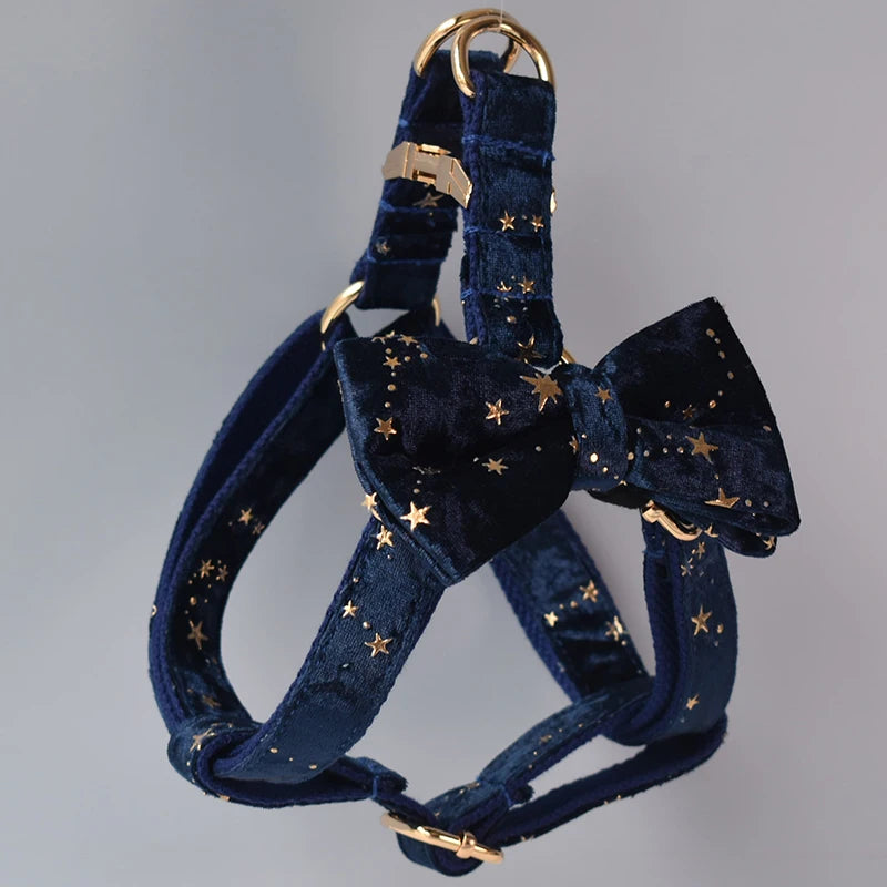 Midnight Blue Bow + Harness & Leash Set