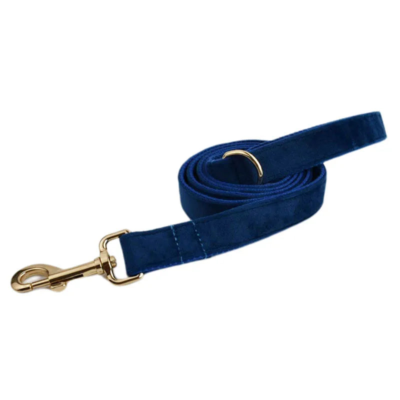 Azure Velvet Collar & Leash