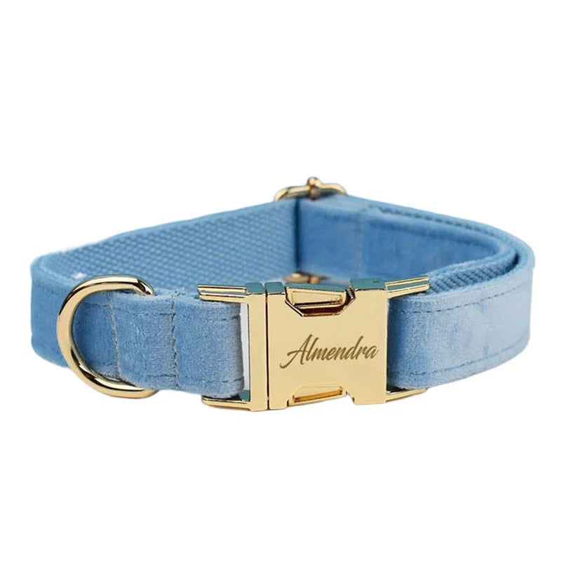 Teal Velvet Collar And Leash