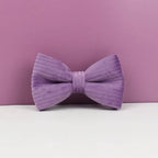 Epic Purple Corduroy Collar & Leash