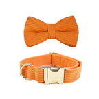 Orange Corduroy Collar & Leash