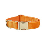 Orange Velvet Collar & Leash