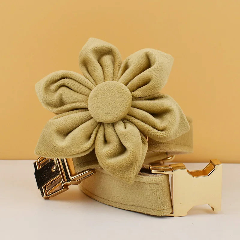 Nude Velvet Collar & Leash