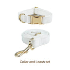 Snow White Velvet Collar & Leash