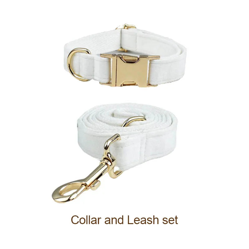Snow White Velvet Collar & Leash