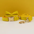 Mustard Velvet Collar & Leash
