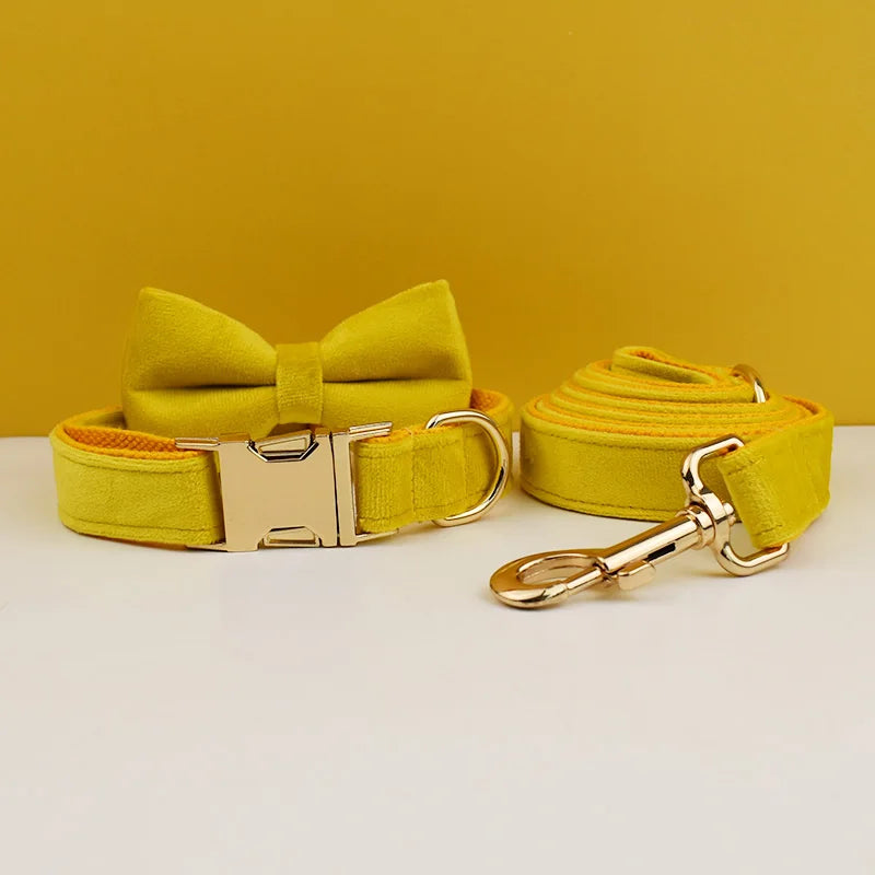 Mustard Velvet Collar & Leash