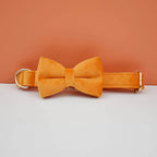 Orange Velvet Collar & Leash