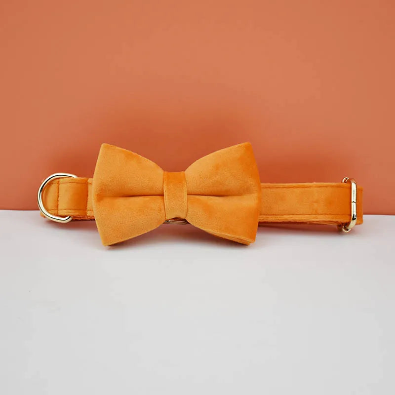 Orange Velvet Collar & Leash