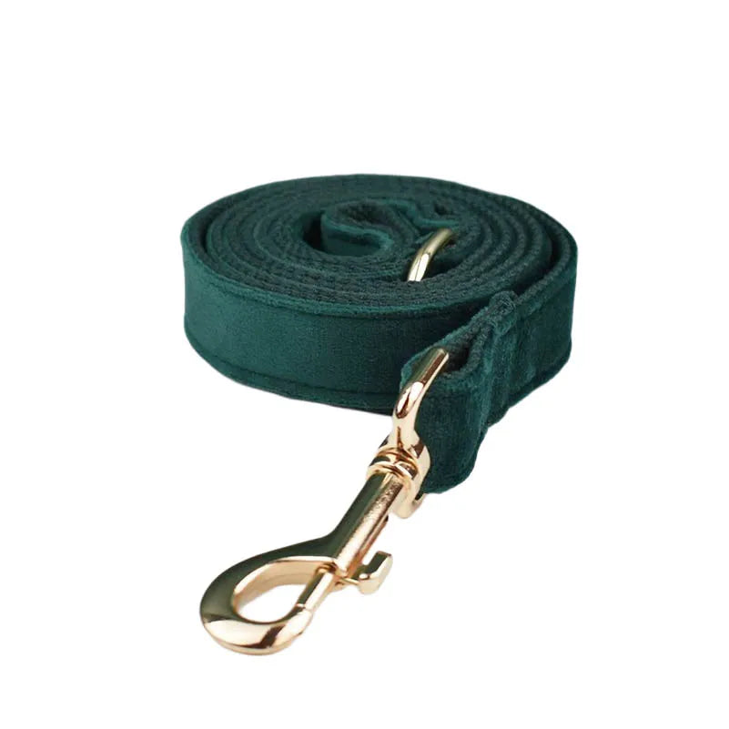 Green Velvet Collar & Leash