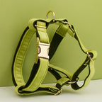 Avocado Velvet Harness