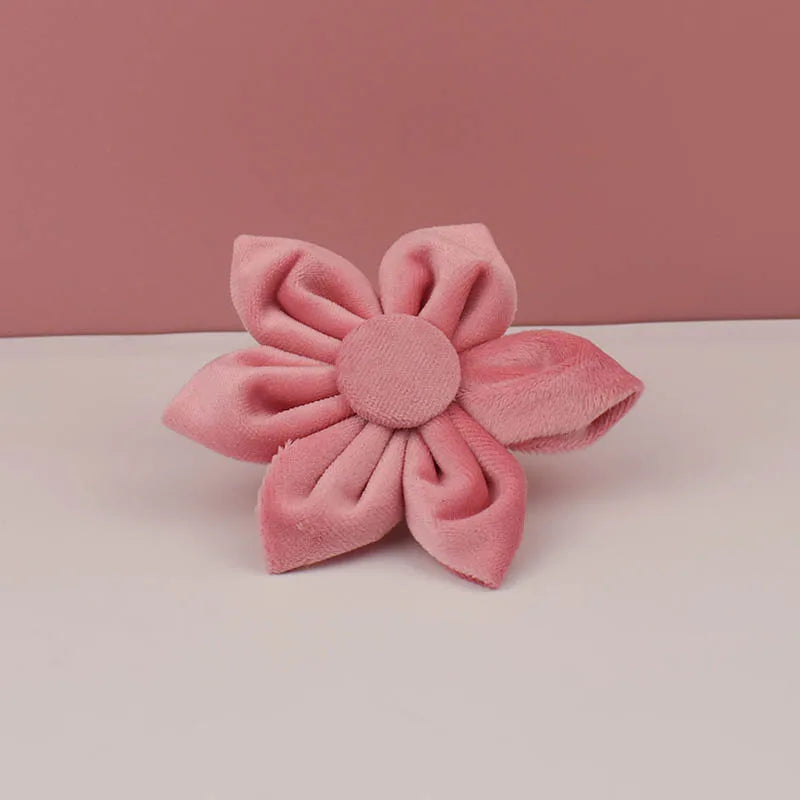 Blush Velvet Collar & Leash