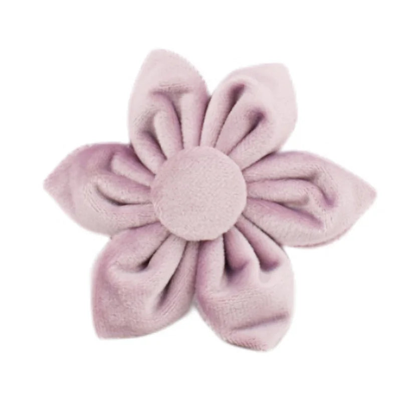 Deep Purple Velvet Collar & Leash