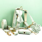 Mint Green Velvet Walk Set