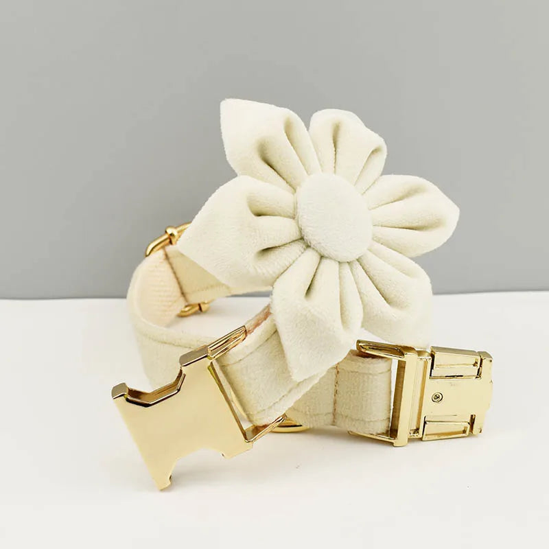 Milky White Velvet Collar & Leash