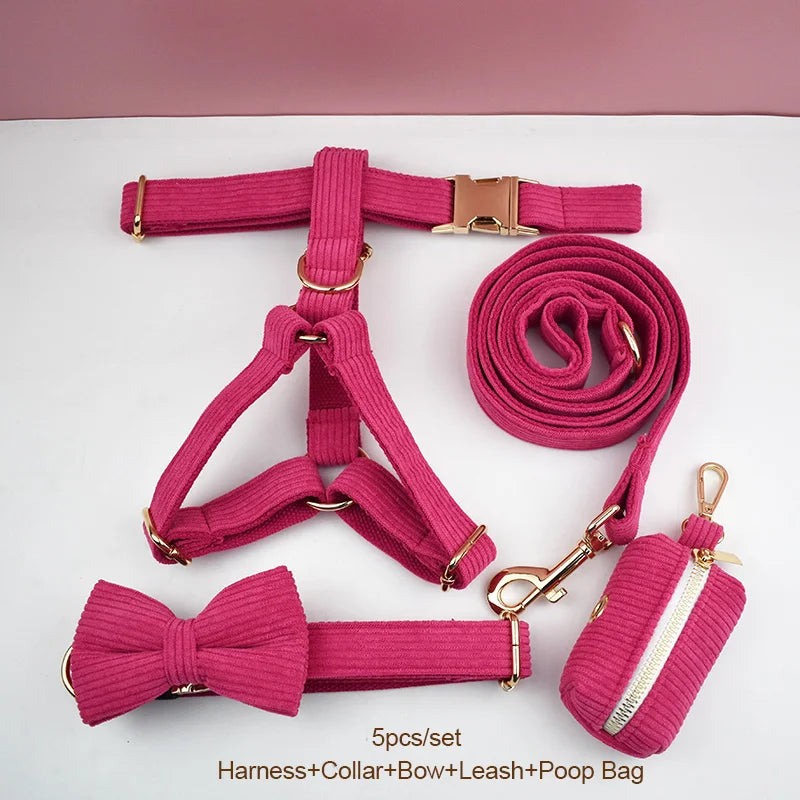 Hot Rose Corduroy Walk Set