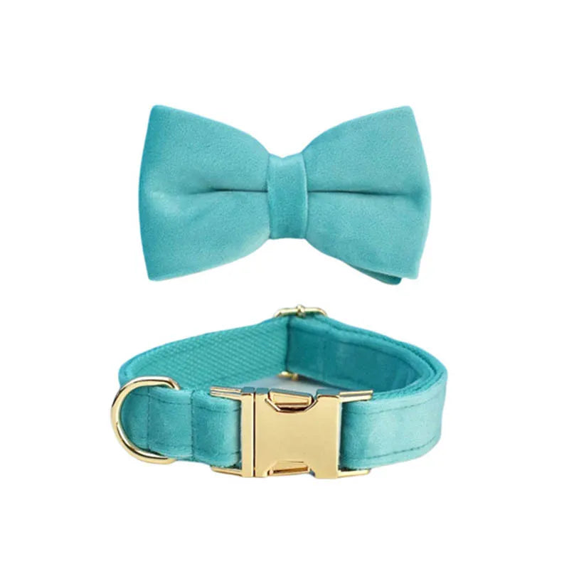 Turquoise Stone Velvet Collar & Leash