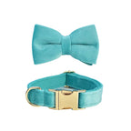 Turquoise Stone Velvet Collar & Leash
