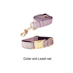Deep Purple Velvet Collar & Leash