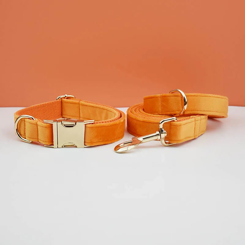 Orange Velvet Collar & Leash