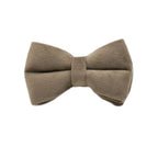 Grey Velvet Collar & Leash