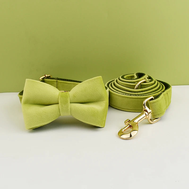 Avocado Velvet Collar & Leash
