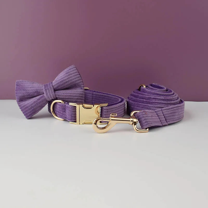 Epic Purple Corduroy Collar & Leash