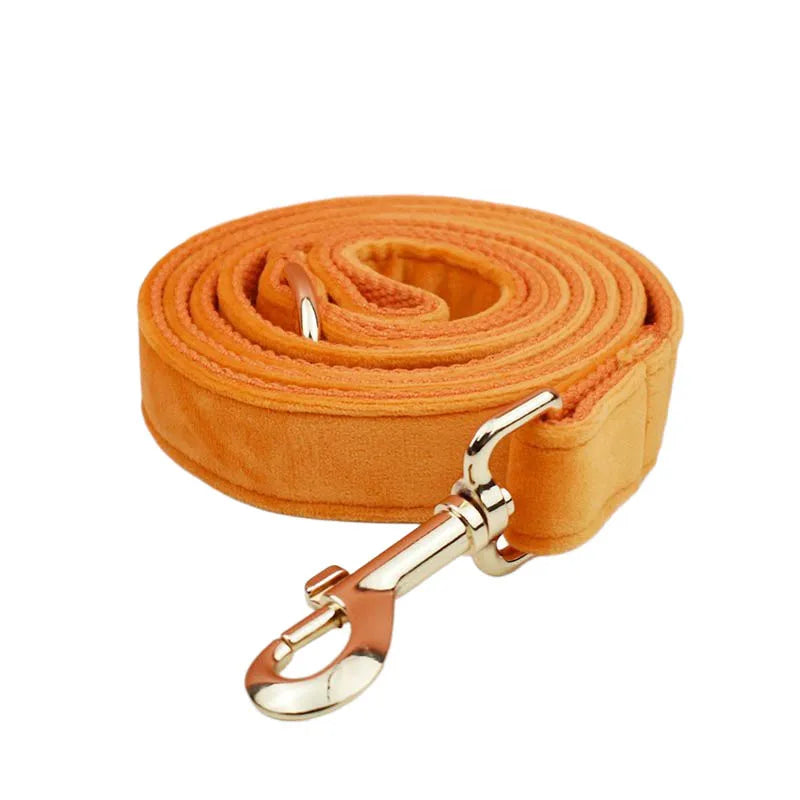 Orange Velvet Collar & Leash