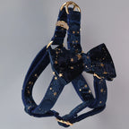 Midnight Blue Bow + Harness & Leash Set