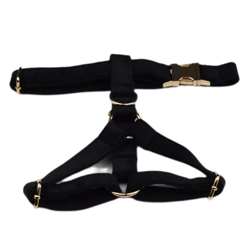 Black Velvet Harness
