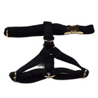 Black Velvet Harness