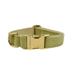 Fruit Green Corduroy Collar & Leash