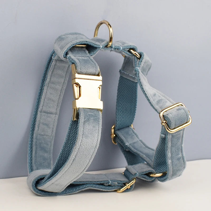 Nordic Blue Velvet Harness