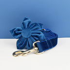 Azure Velvet Collar & Leash