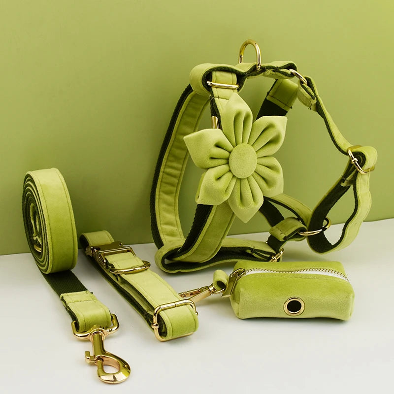 Avocado Velvet Walk Set