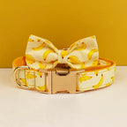 Banana Pop Collar & Leash