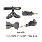 Dark Grey Velvet Walk Set