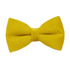 Mustard Velvet Collar & Leash