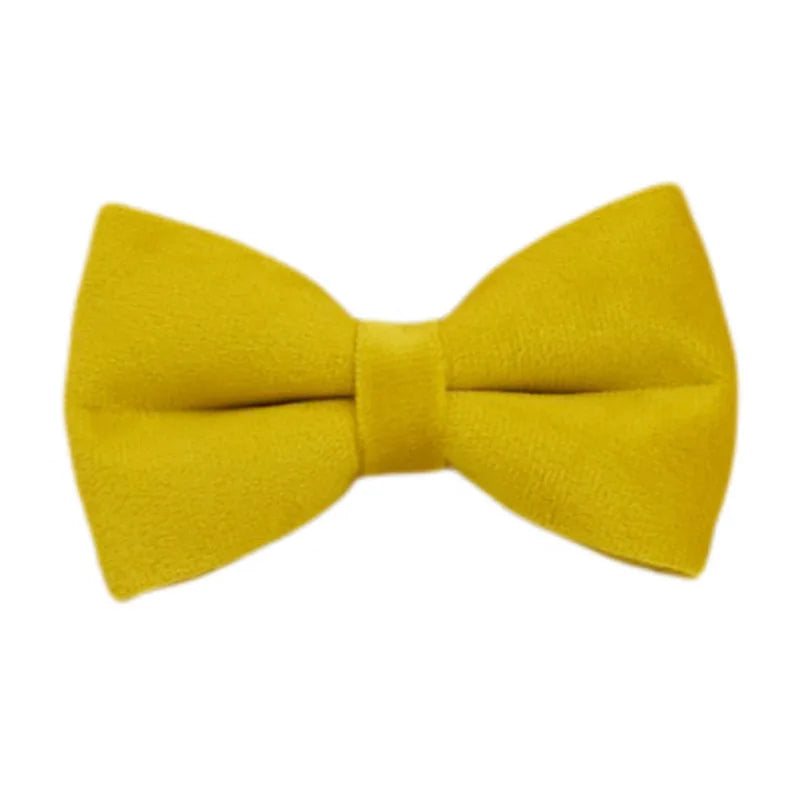Mustard Velvet Collar & Leash
