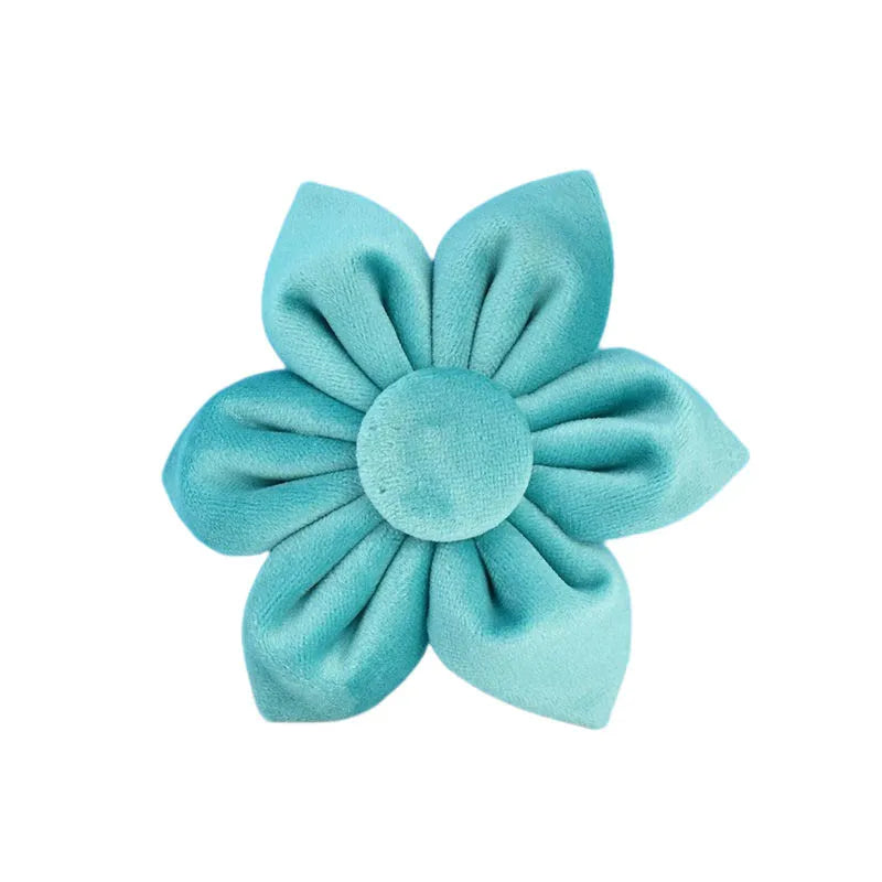 Turquoise Stone Velvet Collar & Leash