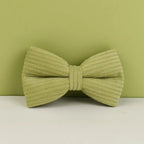 Fruit Green Corduroy Collar & Leash