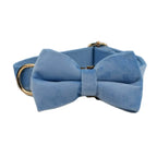 Teal Velvet Collar And Leash