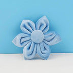 Teal Velvet Collar And Leash