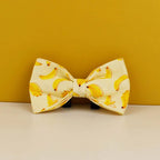 Banana Pop Collar & Leash