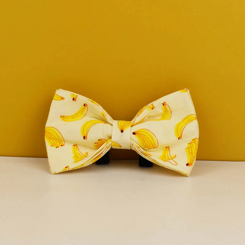 Banana Pop Collar & Leash